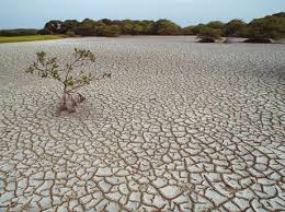 Image result for water shortage
